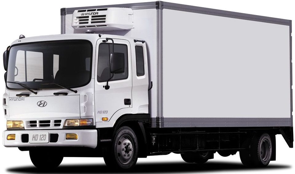 10t